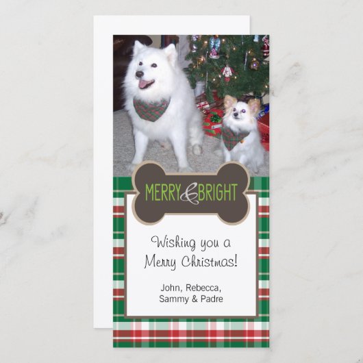 ドッグフォトクリスマスグリーティング シーズンカード (正面/裏面)