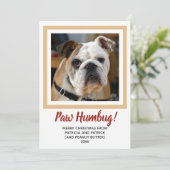 ドッグフォトクリスマスバーフ淡い色の金ゴールドペット シーズンカード (スタンド正面)