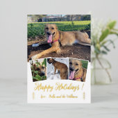 ドッグフォトコラージゴールドフォイルホワイトホリデーカード 箔シーズンカード (立ち正面)