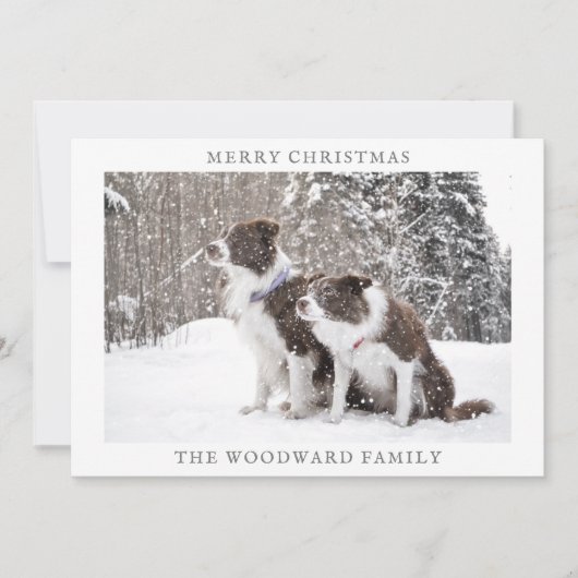 ドッグフォトスノークリスマスホリデー シーズンカード (正面)