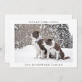 ドッグフォトスノークリスマスホリデー シーズンカード (正面/裏面)