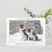 ドッグフォトスノークリスマスホリデー シーズンカード (スタンド正面)