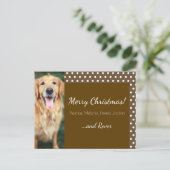 ドッグフォトファミリー名水玉模様 シーズンポストカード (スタンド正面)