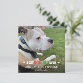 ドッグフォトフラットからのメリークリスマスドッグパパ シーズンカード (スタンド正面)