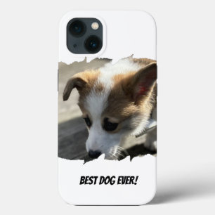 ドッグフォトペットケース – メイトiPhoneケース iPhone 13ケース