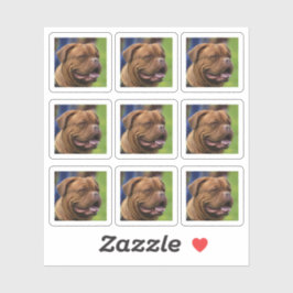 ドッグフォトポートレートDIY シール