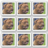 ドッグフォトポートレートDIY シール (正面)