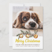 ドッグフォトメリークリスマスファミリー名金箔 シーズンカード (正面)
