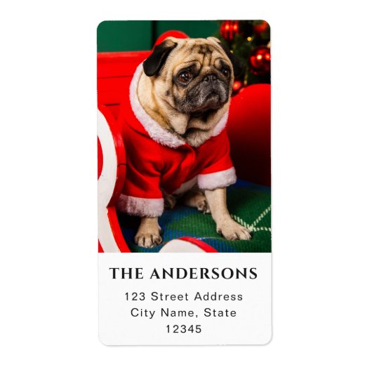 ドッグフォトラバーフォトクリスマスホリデー ラベル (正面)