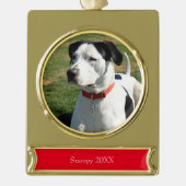 ドッグフォトレッド名かわいいシンプルクリスマス ゴールドプレートバナーオーナメント (正面)