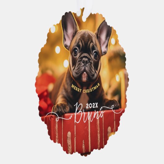 ドッグフォト名前をカスタムすると文字 オーナメントカード (右)