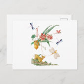 ドッグフラワーとトンボ ポストカード (正面/裏面)