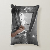 ドッグフレンドリーサロンタバーンバー1900写真 アクセントクッション (裏面(縦))