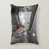 ドッグフレンドリーサロンタバーンバー1900写真 アクセントクッション (正面(垂直))