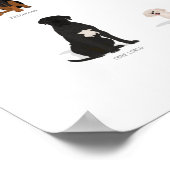 ドッグブリーズコレクション ポスター (角)