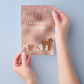 ドッグペットグルーミングシッティングビジネス輝き チラシ (ハンドル)