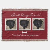 ドッグペットコラージュ|ドッグエ最高のバーバー|Instagram スローブランケット (正面)