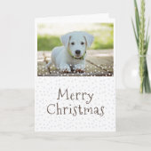 ドッグペットフォトスターメリークリスマス シーズンカード (正面)