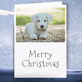 ドッグペットフォトスターメリークリスマス シーズンカード