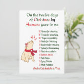 ドッグホリデーカード シーズンカード (スタンド正面)