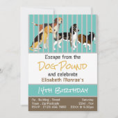 ドッグポンドテーマエスケープルームバースデーパーティー 招待状 (正面)