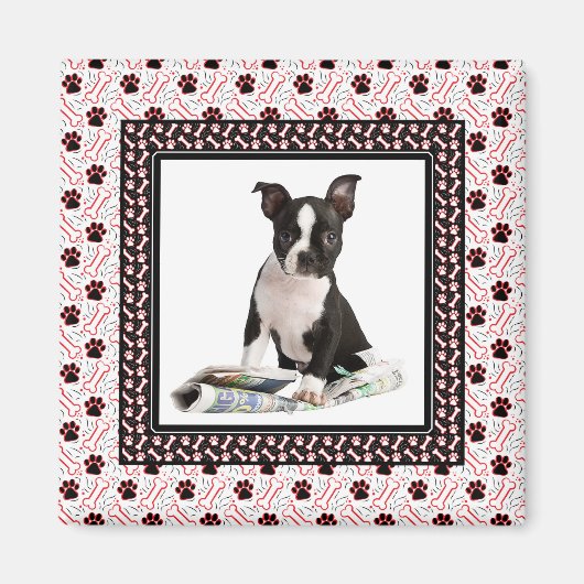 ドッグポーアンドボーンペット写真テンプレート マグネット (正面)