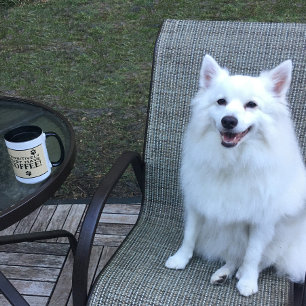 ドッグポータイポグラフィコーヒー愛好家のかわいい専門 マグカップ