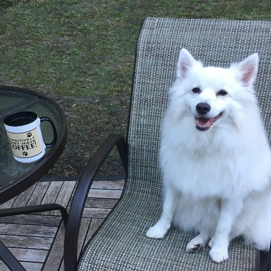 ドッグポータイポグラフィコーヒー愛好家のかわいい専門 マグカップ