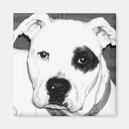 ドッグマグネット マグネット (正面)