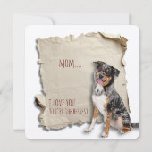 ドッグママママザーズ日誕生日羊飼いカード カード (正面)