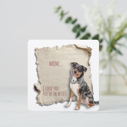 ドッグママママザーズ日誕生日羊飼いカード カード (スタンド正面)