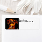 ドッグモダンアート – Boxer ラベル (インサイチュ)