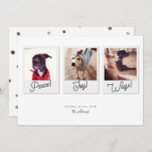 ドッグモダン写真コラージュ平和喜びがクリスマスを飾る シーズンカード (正面/裏面)