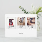 ドッグモダン写真コラージュ平和喜びがクリスマスを飾る シーズンカード (スタンド正面)