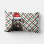 ドッグラバークリスマスブービエドッグ&ホリデープライド ランバークッション (裏面)