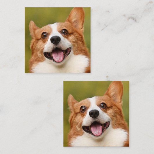 ドッグ写真のパーソナライズされたカスタマイズ追加 スクエア名刺 (正面/裏面)