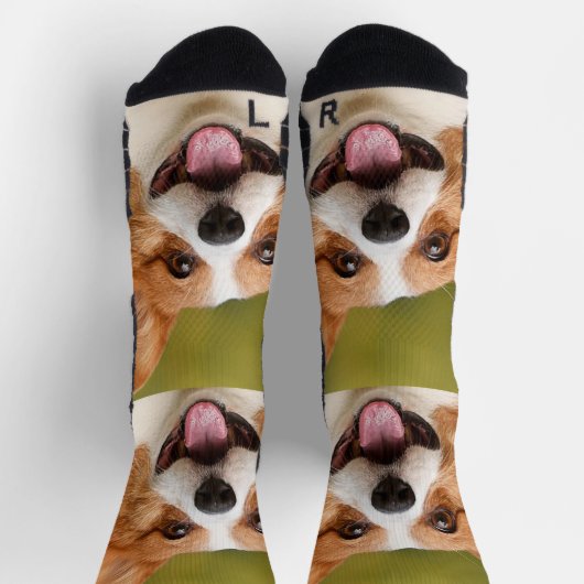 ドッグ写真のパーソナライズされたカスタマイズ追加 ソックス (上部)