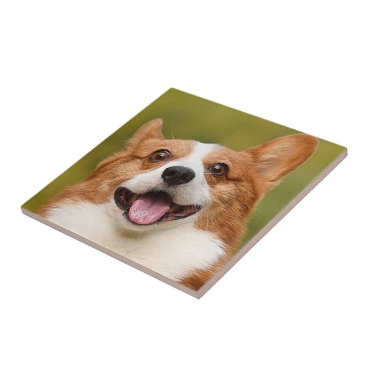 ドッグ写真のパーソナライズされたカスタマイズ追加 タイル (側面)