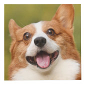 ドッグ写真のパーソナライズされたカスタマイズ追加 フォトキューブ (右)