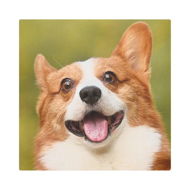 ドッグ写真のパーソナライズされたカスタマイズ追加 メタルプリント (正面)