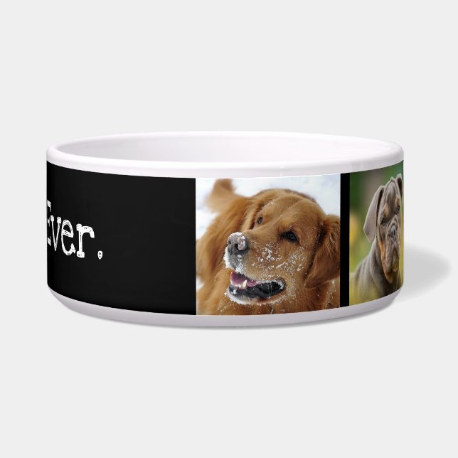 ドッグ最高の・エバー写真コラージュおもしろい白黒ボウル ボウル (右)