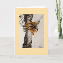 ドッグ疑問に思アティ シーズンカード