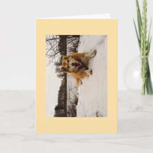 ドッグ疑問に思アティ シーズンカード (正面)