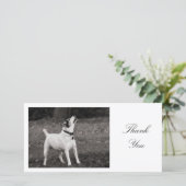 ドッグ·アゴグ-ありがとう サンキューカード (スタンド正面)