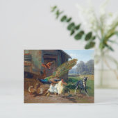 ドッグ・イン・ザ・チキン ポストカード (スタンド正面)