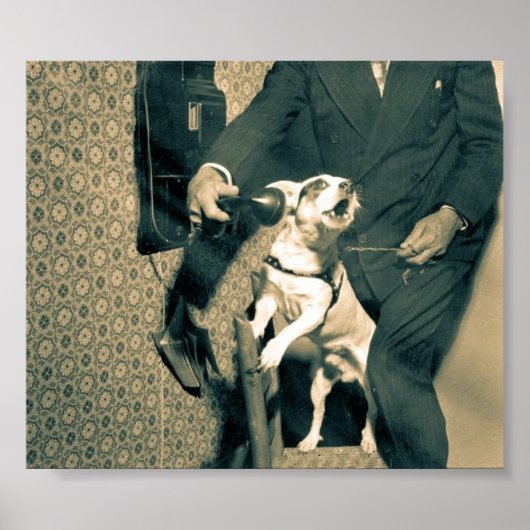 ドッグ・オン・フォン ポスター (正面)