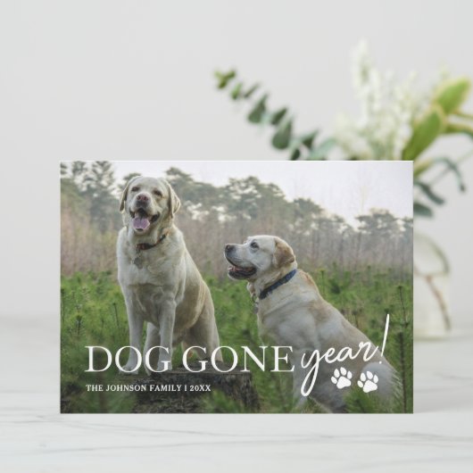 ドッグ・ゴーン・イヤー ファミリー フォト クリスマス (スタンド正面)