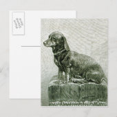 ドッグ・ジェイコブ ポストカード (正面/裏面)