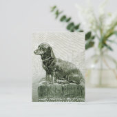 ドッグ・ジェイコブ ポストカード (スタンド正面)