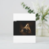 ドッグ ポストカード (スタンド正面)